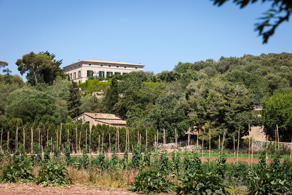 Llenaire 3* Port de Pollenca